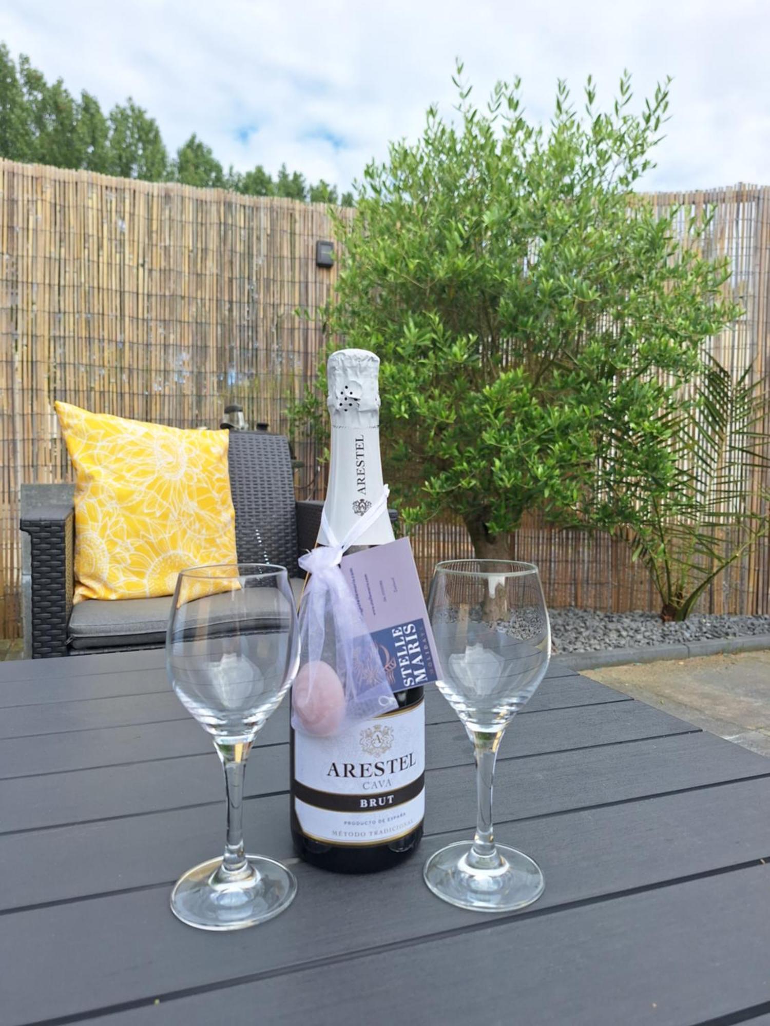 Stelle Maris, Nice Place In Heinkenszand, 2 Bedrooms, Outdoor Swimming Pool, Wifi Smart Tv And Privacy Exterior foto
